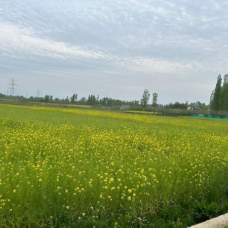 Green View Group Of Houseboats Srinagar  Luaran gambar
