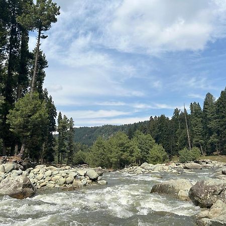 Green View Group Of Houseboats Hotel Srinagar  Luaran gambar