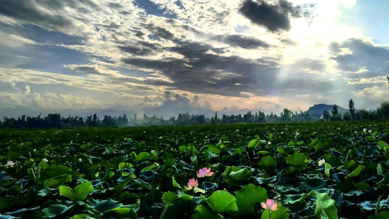 Green View Group Of Houseboats Hotel Srinagar  Luaran gambar