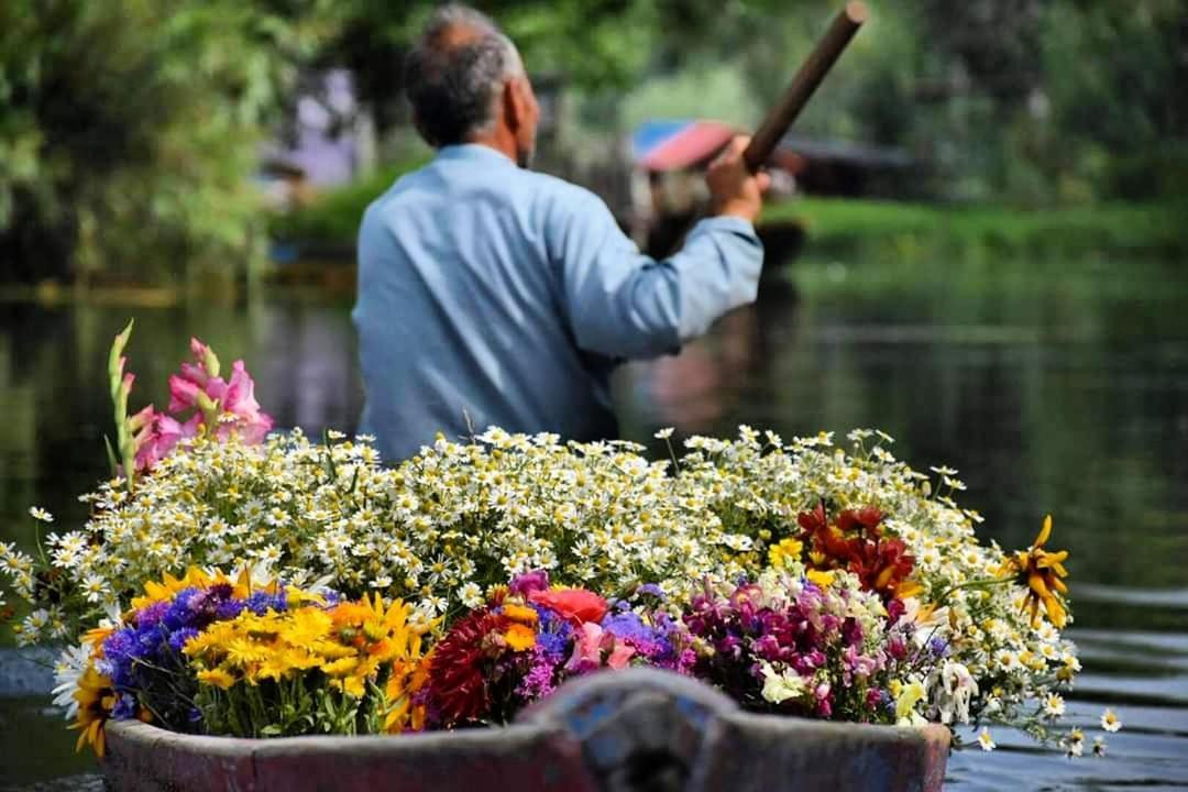 Green View Group Of Houseboats Hotel Srinagar  Luaran gambar