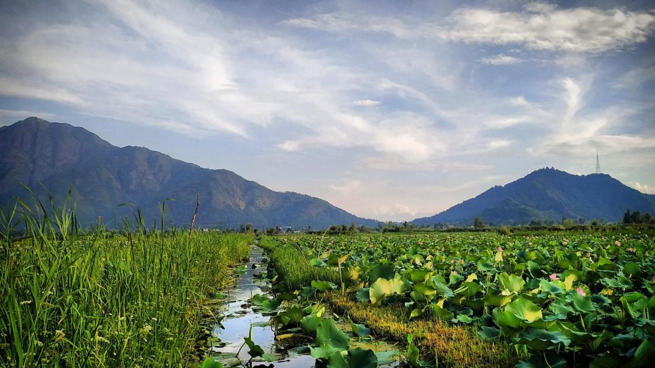 Green View Group Of Houseboats Srinagar  Luaran gambar