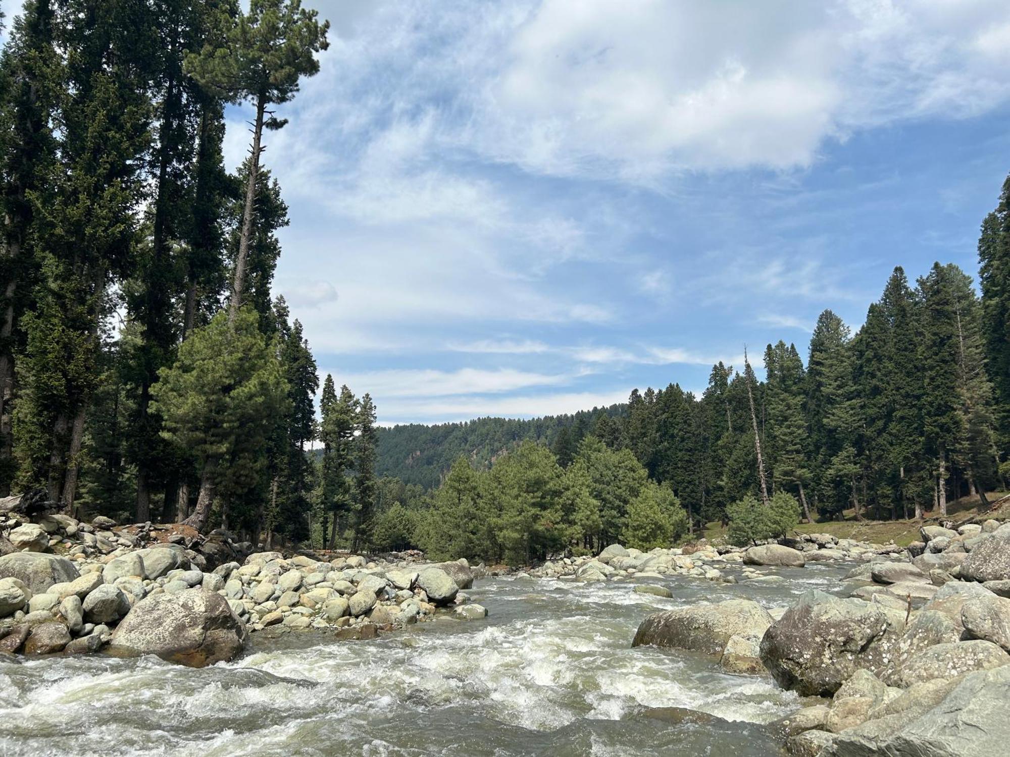 Green View Group Of Houseboats Hotel Srinagar  Luaran gambar